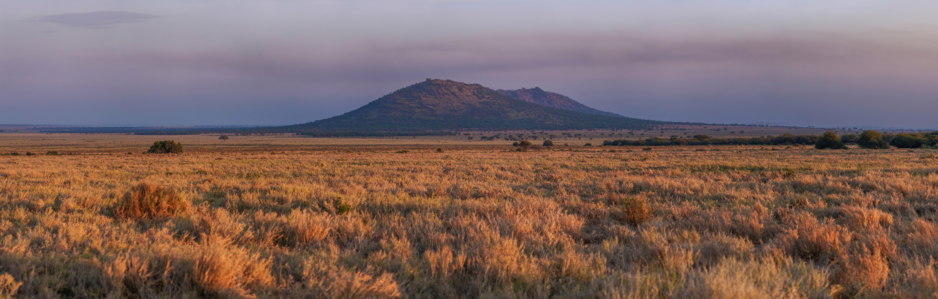 Serengeti · l'alba sulla piana