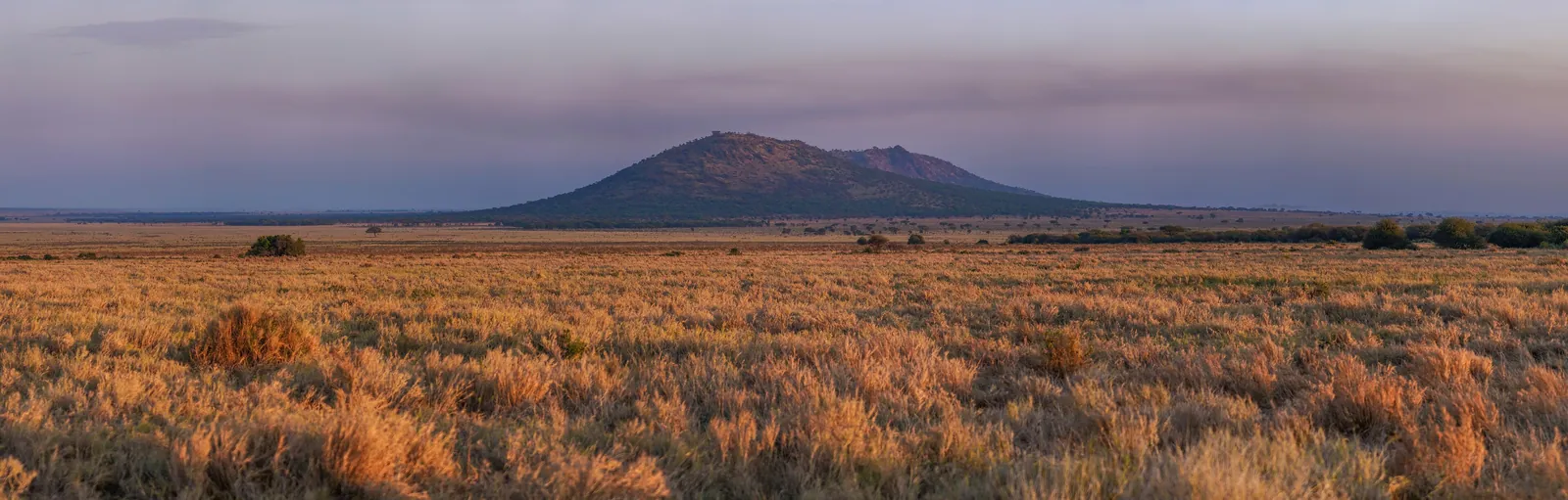Serengeti · l'alba sulla piana